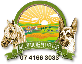 All Creatures Vet Services Monto